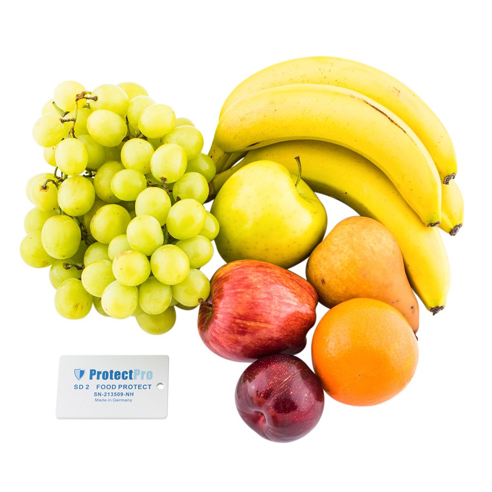 Protect Pro SD 2 Food Protect - Image 6