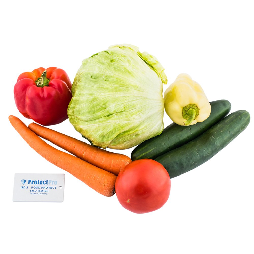 Protect Pro SD 2 Food Protect - Image 5